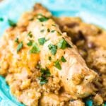 Blue plate with chicken and stuffing