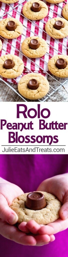 Rolo Peanut Butter Blossom Cookies Recipe ~ Soft Chewy Peanut Butter Blossoms with a Rolo in the Middle! Quick, Easy Christmas Cookie Perfect for the Holidays!