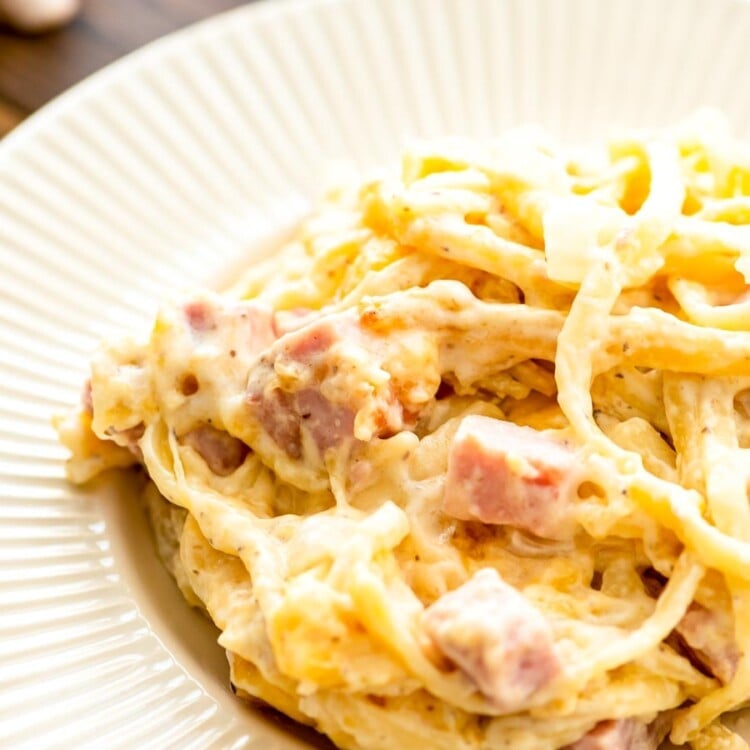 White plate with linguine casserole on it