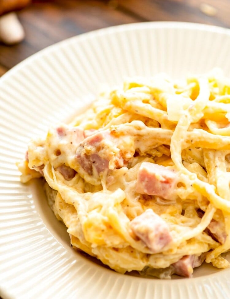 White plate with linguine casserole on it