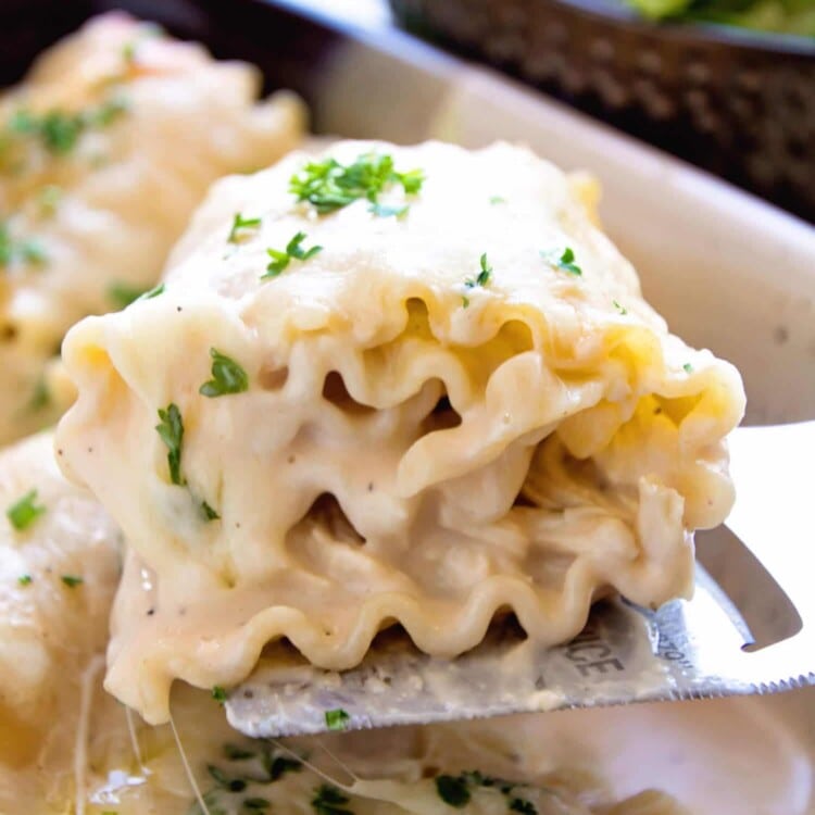 Chicken Alfredo Rollups ~ Creamy and Delicious! Lasagna Noodles Stuffed with Chicken, Cheese and Garlic Alfredo Make for a Quick and Delicious Dinner!