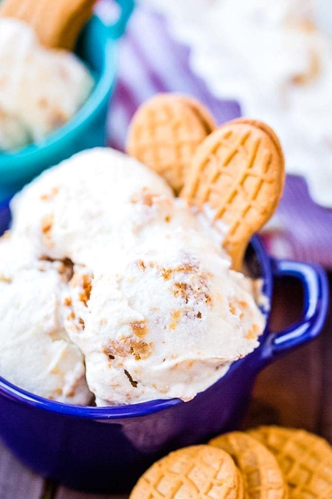 Bowls of Nutter Butter Ice Cream recipe