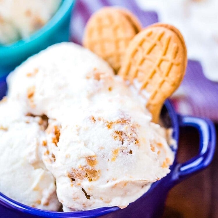 Bowls of Nutter Butter Ice Cream and cookies