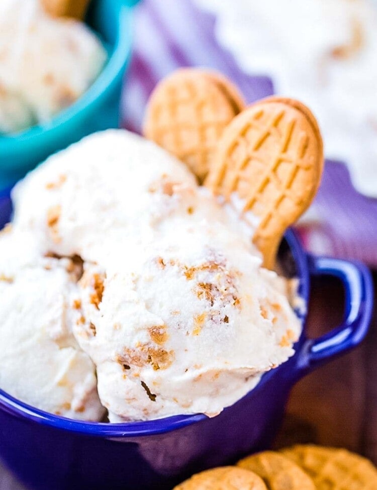 Bowls of Nutter Butter Ice Cream and cookies
