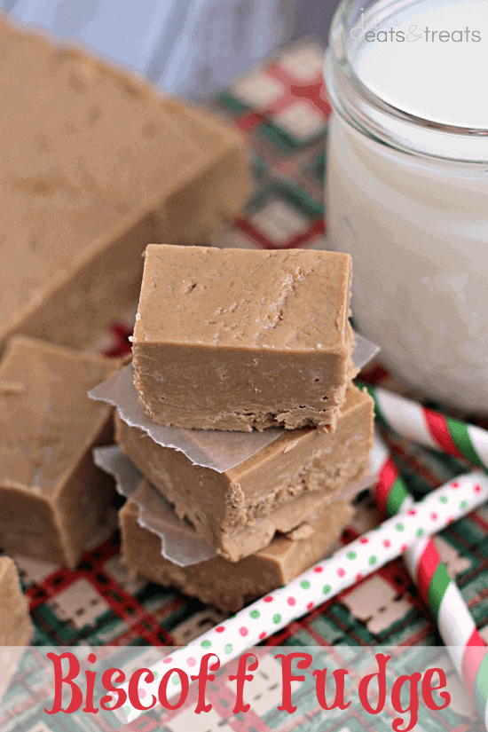 Biscoff Fudge ~ Only TWO Ingredients! It doesn't get much easier or quicker than this!