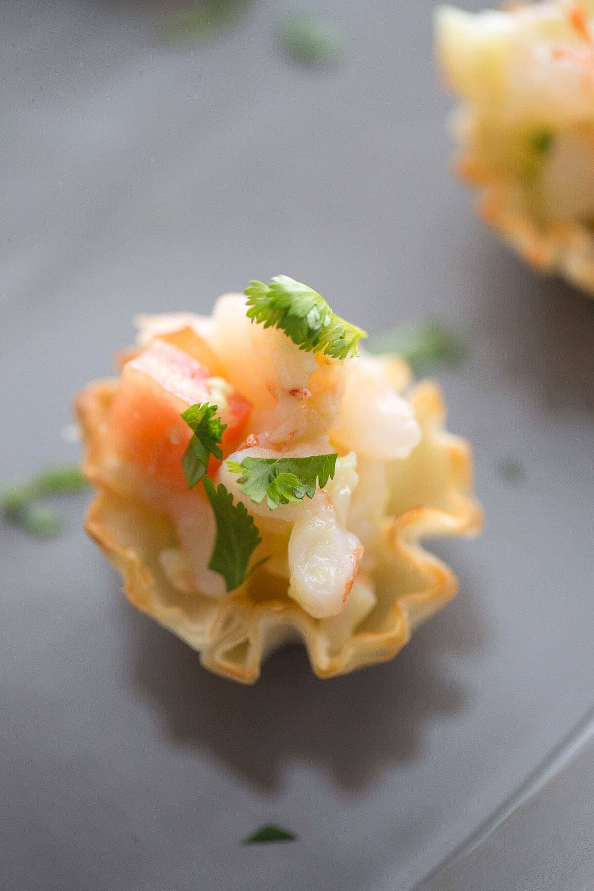 ceviche-bites-8