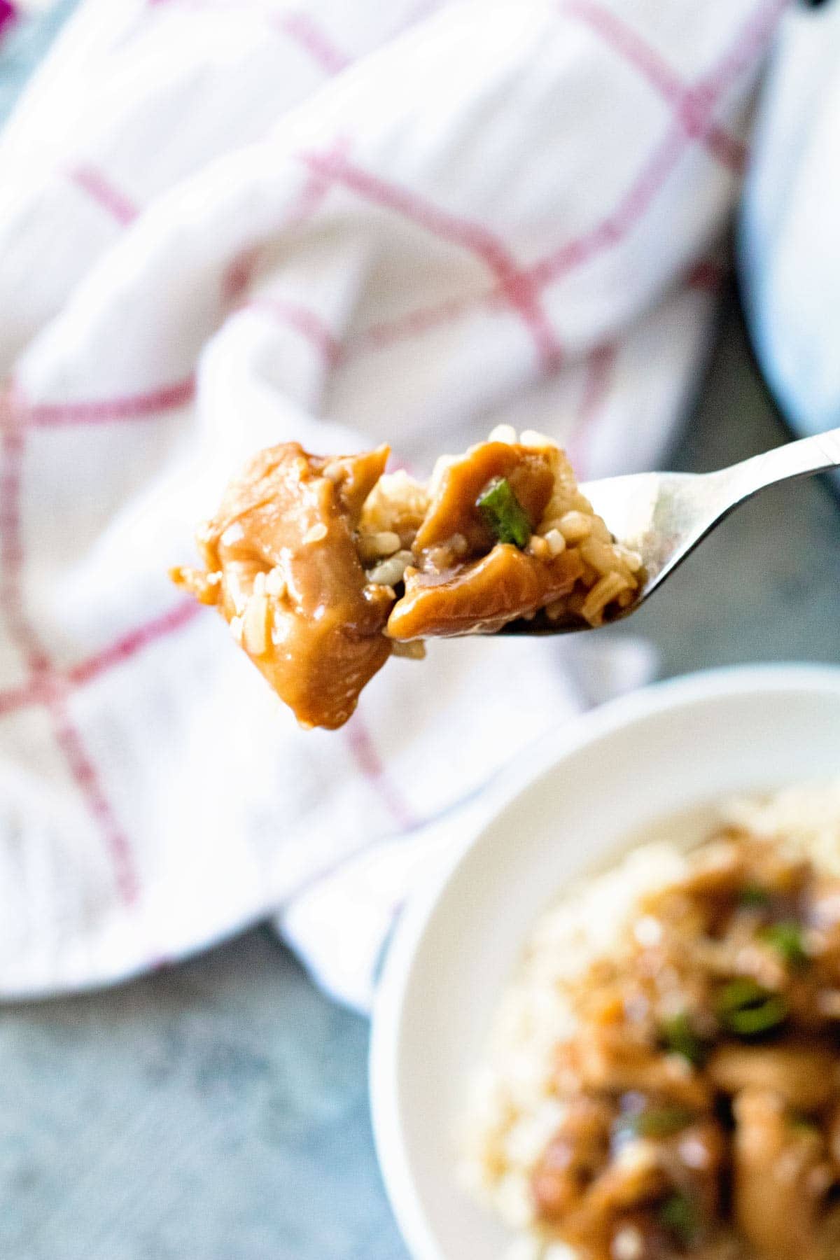 Teriyaki Chicken made in your slow cooker!