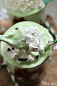 Grasshopper Ice Cream Dessert ~ Light, Fluffy & Minty Ice Cream Dessert that is always a hit!