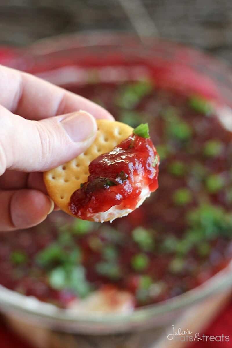 Cream Cheese Cranberry Dip ~ Easy, Delicious Dip Layered with Cream Cheese, Cranberries, Green Onion and Cilantro!