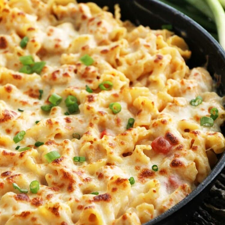 Red Pepper Chicken Alfredo Bake ~ Pasta Smothered in Light Roasted Red Pepper Sauce, Chicken & Cheese!