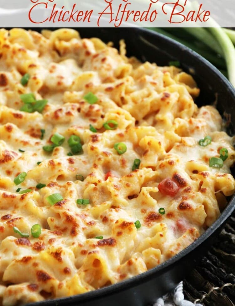 Red Pepper Chicken Alfredo Bake ~ Pasta Smothered in Light Roasted Red Pepper Sauce, Chicken & Cheese!