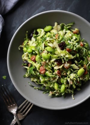 Autumn Kale & Shaved Brussels Sprouts Salad-web-7