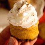 A hand holding a light mini pumpkin cheesecake with whipped topping and cinnamon on top