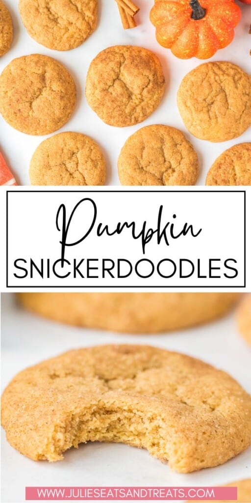 Pumpkin Snickerdoodles JET Pin Image