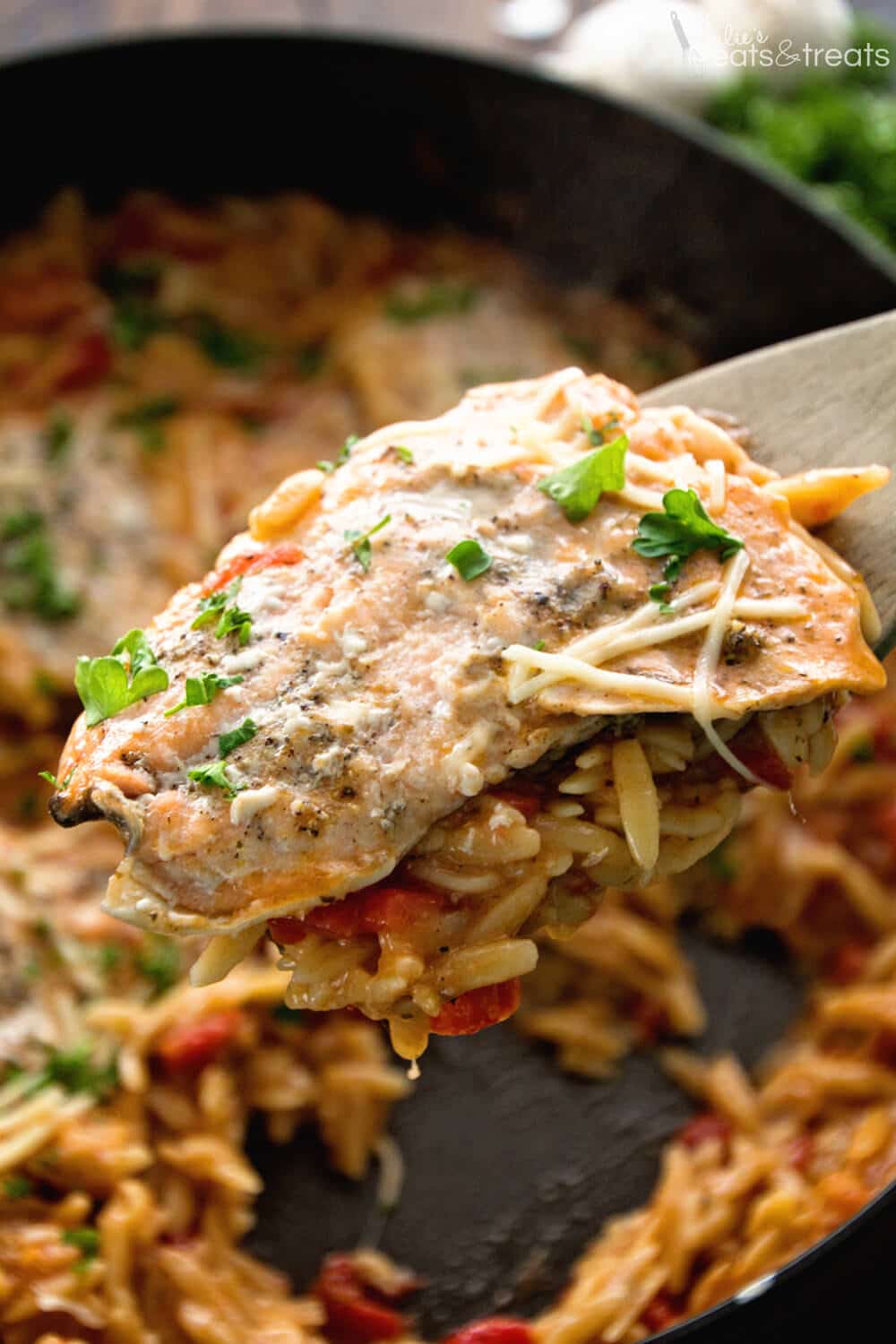 Light Italian One Pot Salmon & Orzo Recipe ~ Quick & Easy One Pot Pasta Dish That is Full of Flavor! Delicious Orzo Pasta, Flavorful Salmon Perfect for an Easy Dinner Recipe!