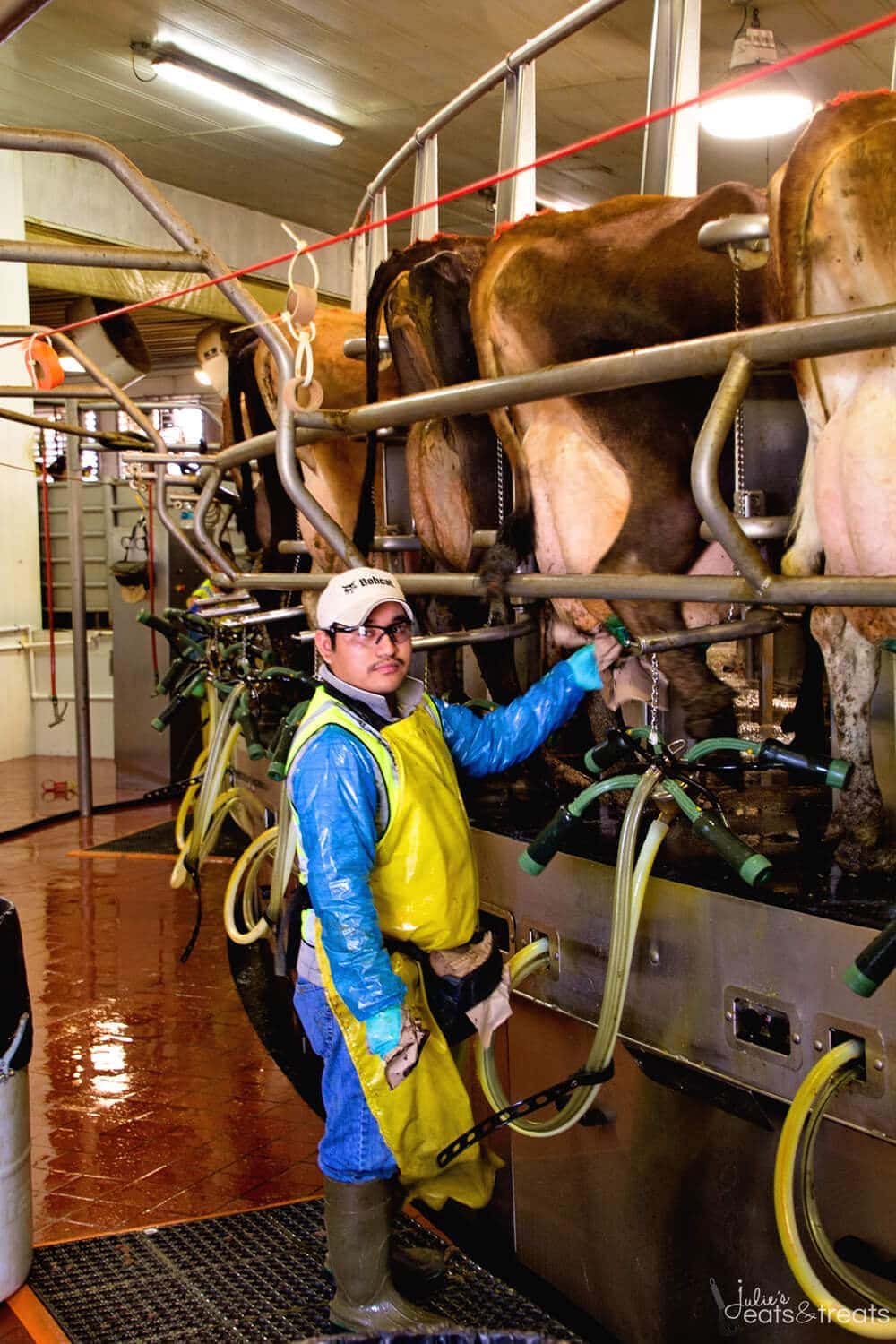 RIverview Milking
