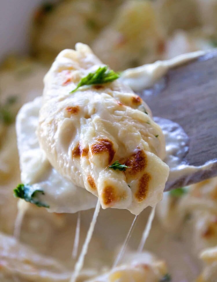 Chicken Alfredo Stuffed Shells Recipe ~ Jumbo Pasta Shells Stuffed with Three Kinds of Cheese and Topped with Creamy Alfredo Sauce! Perfect for a Quick, Easy Dinner or Lunch!