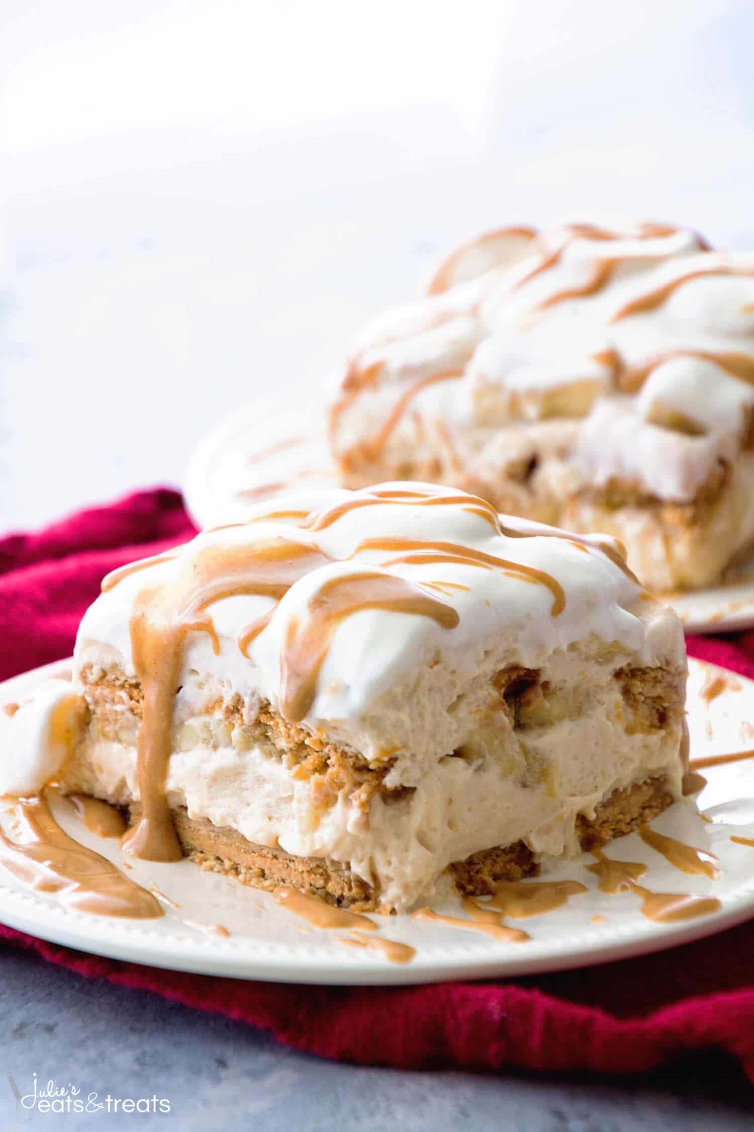 Peanut Butter and Banana Icebox Cake ~ Homemade Light & Fluffy Peanut Butter Mousse Layered with Peanut Butter Cookies and Bananas and then Drizzled with Peanut Butter! The Perfect No Bake Dessert!