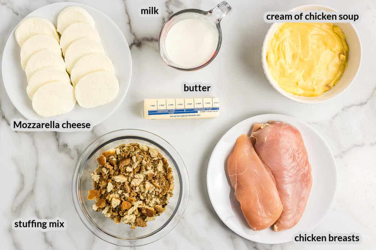 Overhead image of Chicken Stuffing Casserole Ingredients
