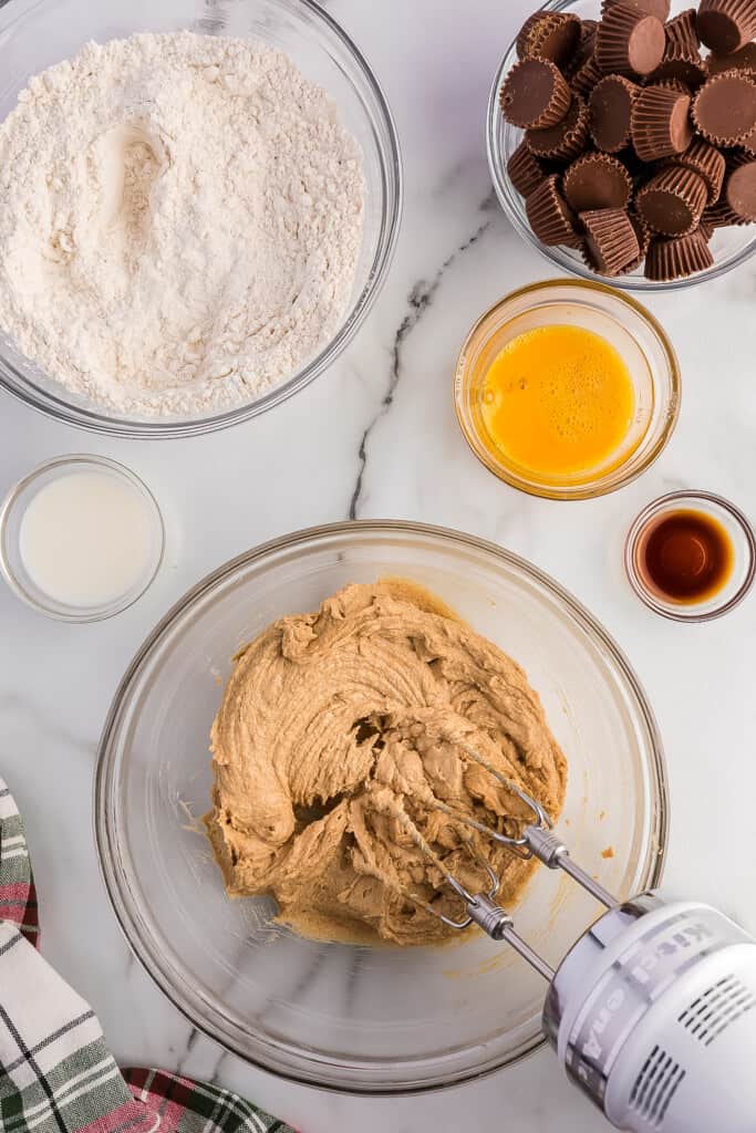 Mixing wet ingredients for peanut butter cookies