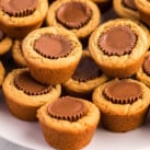 Peanut Butter Cup Cookies Square CROPPED IMAGE