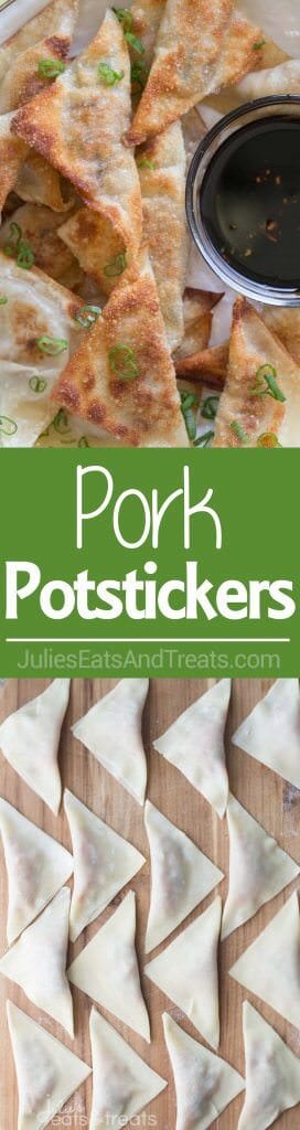 Pork Potstickers ~ Filled with Pork, Cabbage, Mushrooms, Carrots and More! The Perfect Treat When You are Craving Asian Food. Plus, They are Freezable!