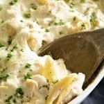 Unstuffed Chicken Alfredo Shells ~ Creamy, Delicious Casserole with Layers of Garlic Alfredo Sauce, Pasta and Chicken! Save Yourself Time by Skipping the Stuffing of the Pasta! Perfect for a Weeknight Dinner!