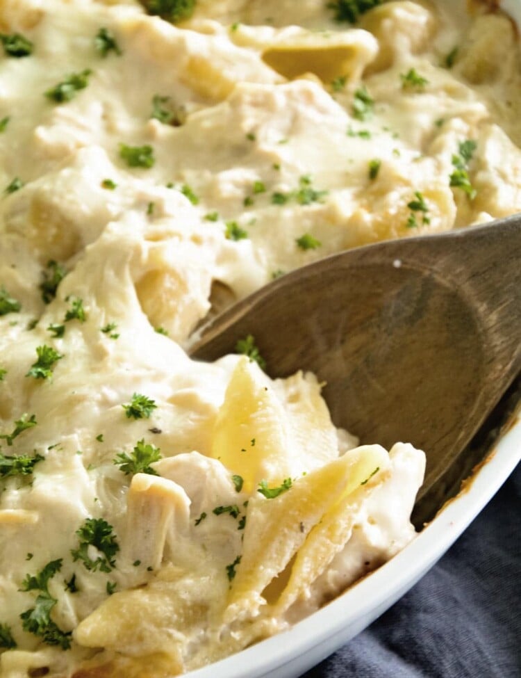 Unstuffed Chicken Alfredo Shells ~ Creamy, Delicious Casserole with Layers of Garlic Alfredo Sauce, Pasta and Chicken! Save Yourself Time by Skipping the Stuffing of the Pasta! Perfect for a Weeknight Dinner!