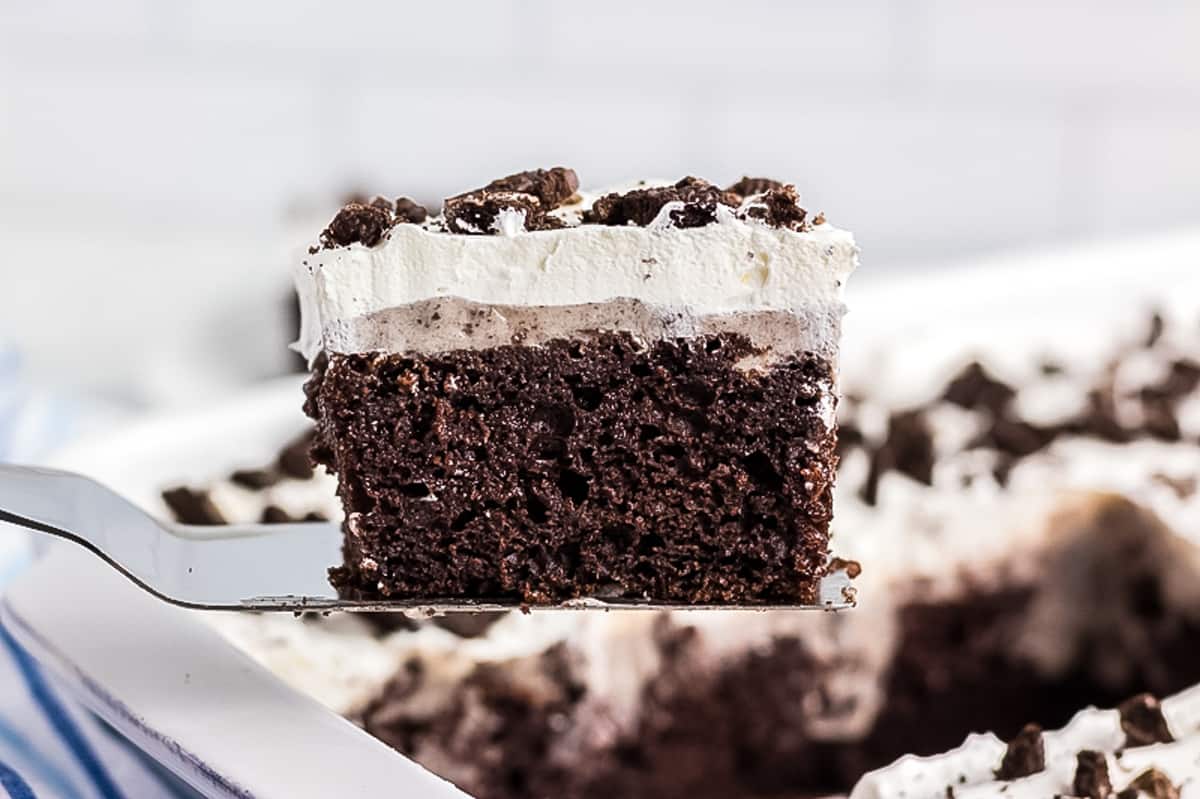 Piece of Oreo Cake on spatula