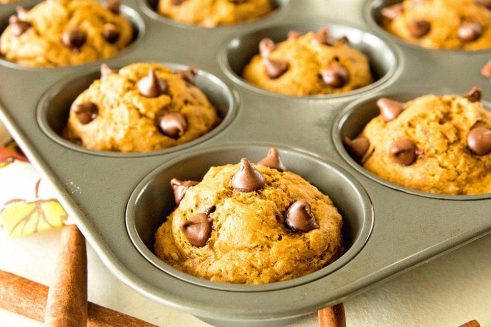 Perfect Pumpkin Muffin Recipe with Chocolate Chip Muffins for Fall!