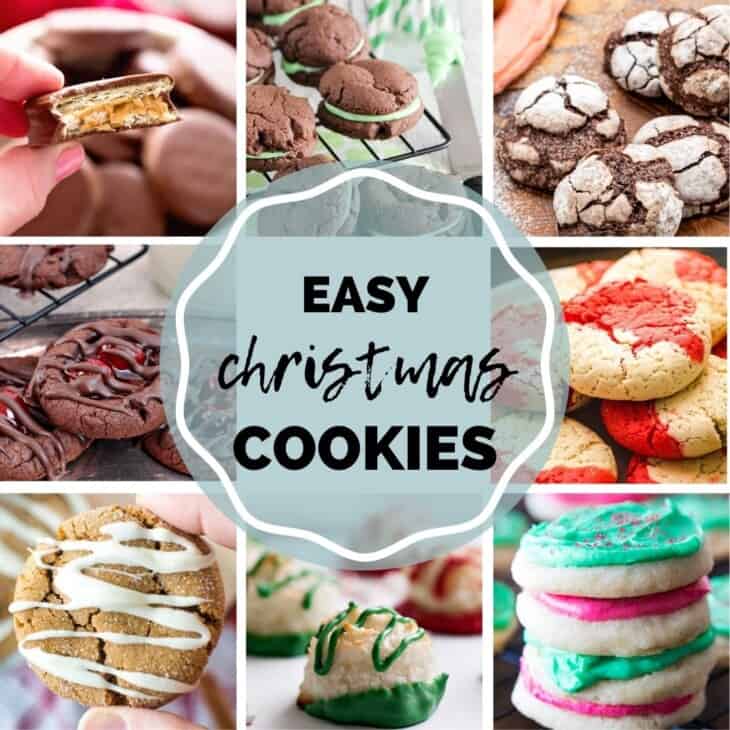 The Best Christmas Cookie Recipes 50+ Recipes!! - Julie's Eats & Treats