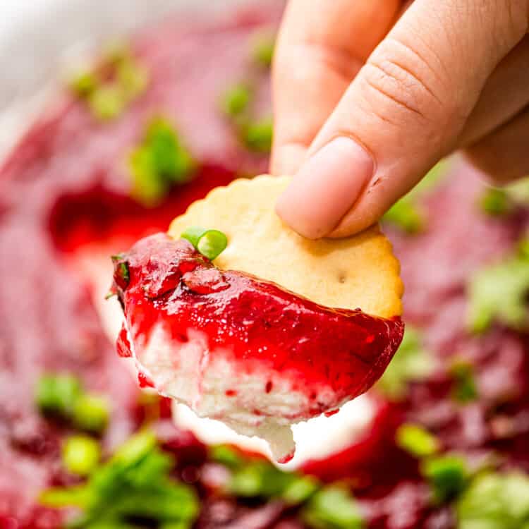 Hand holding cracker with cranberry dip on it