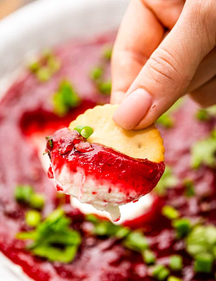 Hand holding cracker with cranberry dip on it