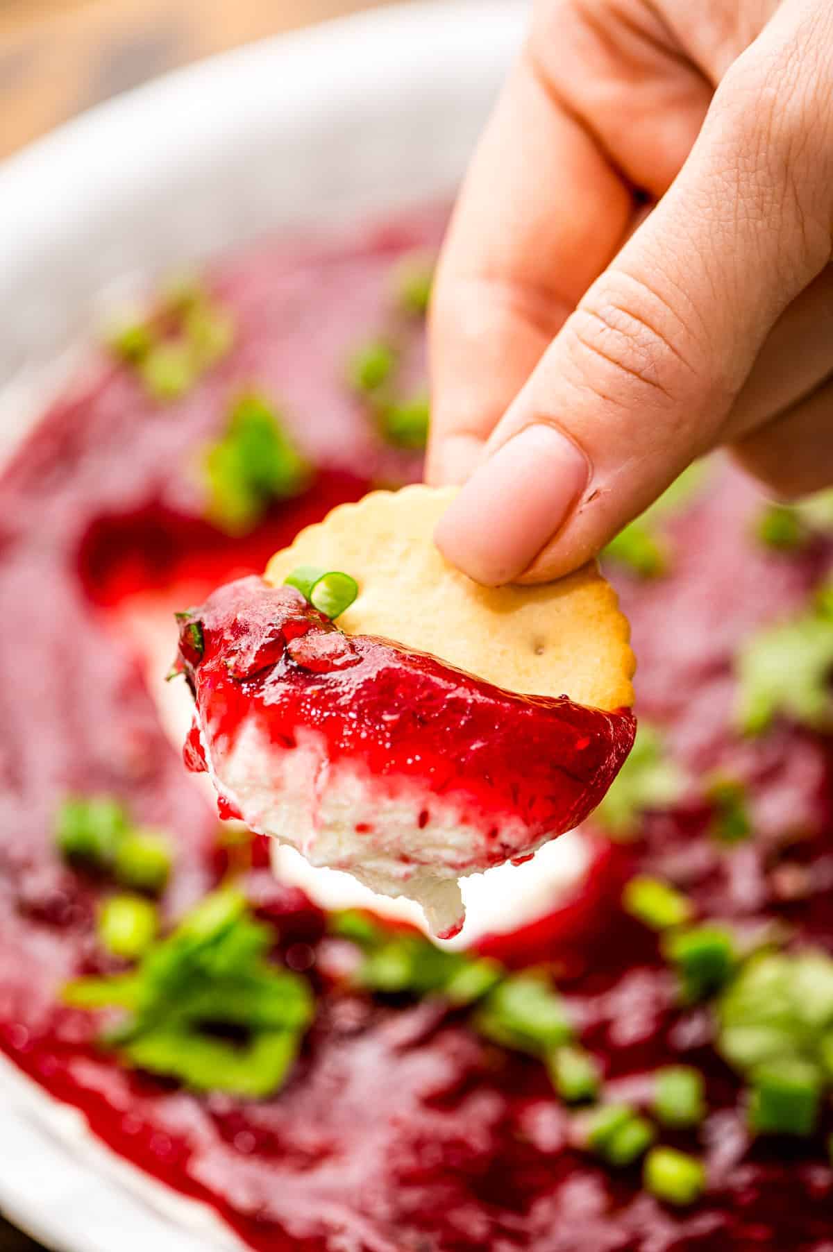 Hand holding cracker with cranberry dip on it