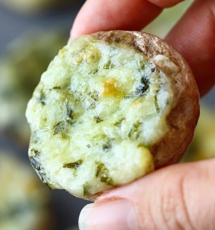 Close up image of a hand holding a stuffed mushroom