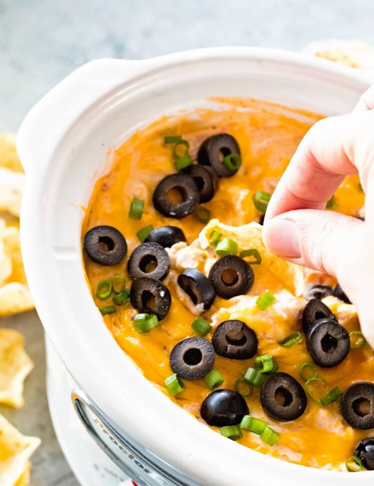 A hand dipping a chip into a white slow cooker of chicken enchilada dip topped with black olives