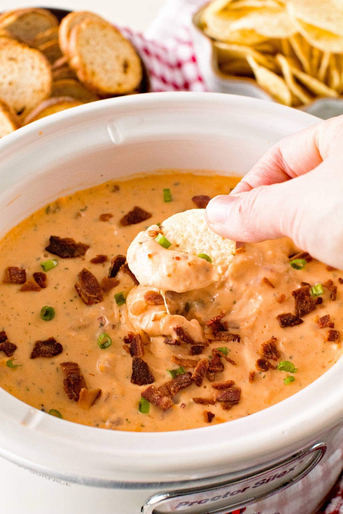 Slow Cooker Cheese Dip with Ranch and Chicken