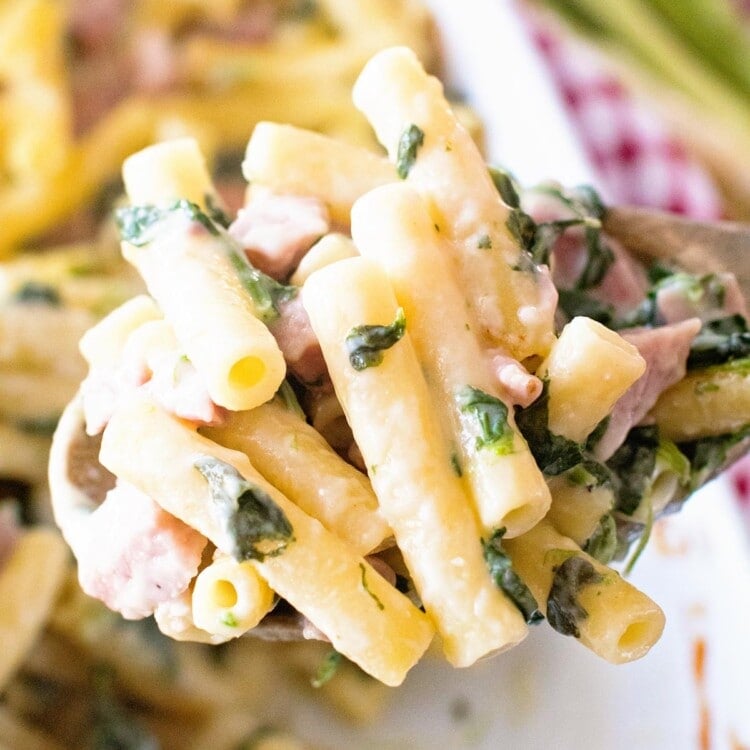 Cheese Pasta and ham Casserole on a wooden spoon being held over a white baking dish