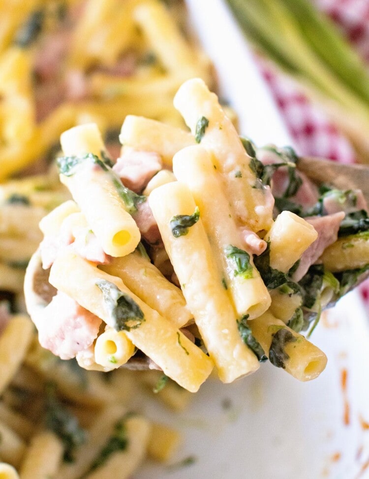 Cheese Pasta and ham Casserole on a wooden spoon being held over a white baking dish