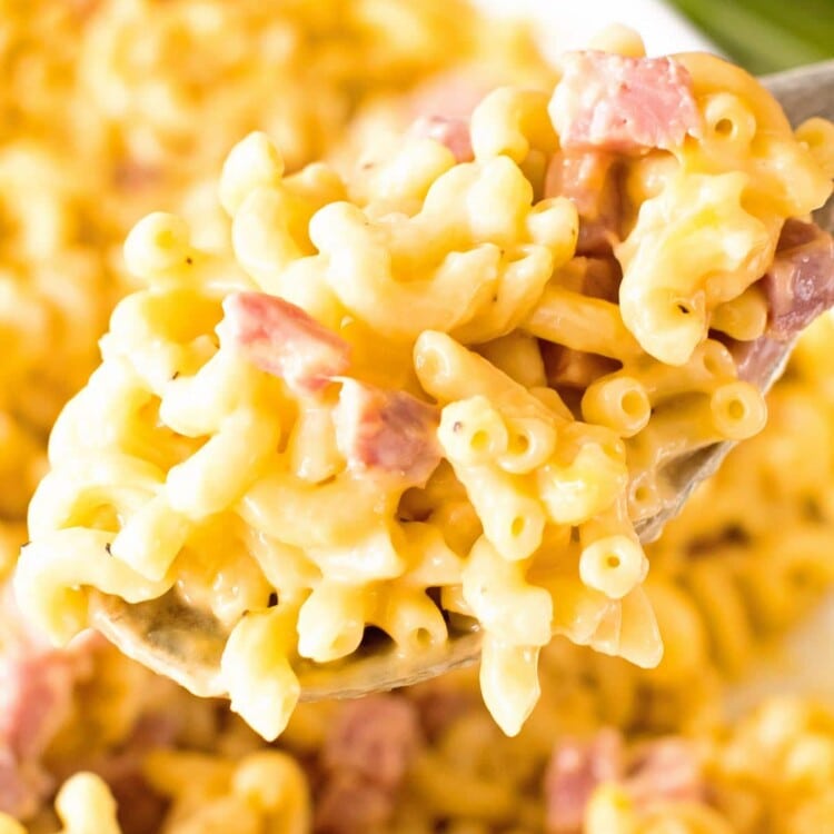 easy cheesy ham and noodle casserole on a wood spoon being held over a white baking dish of ham and pasta