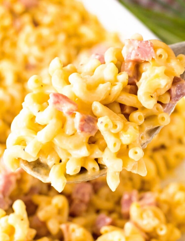 easy cheesy ham and noodle casserole on a wood spoon being held over a white baking dish of ham and pasta