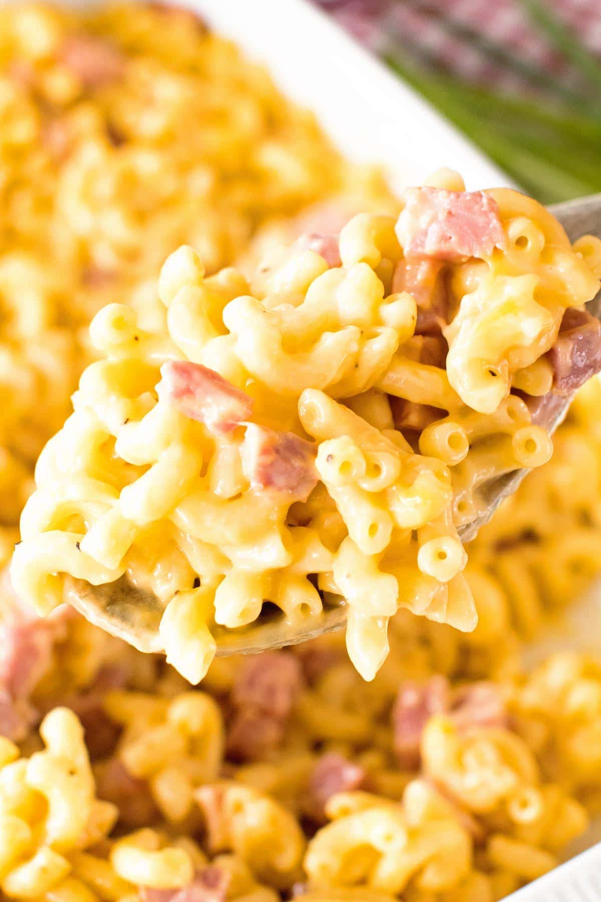 easy ham and noodle casserole