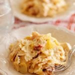 Two white plates of sun dried tomato and artichoke pasta with forks