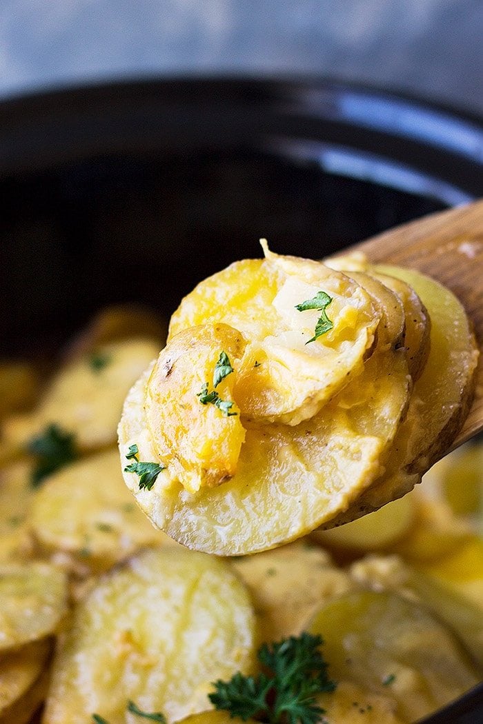 A spoonful of Crock Pot Au Gratin Potatoes.