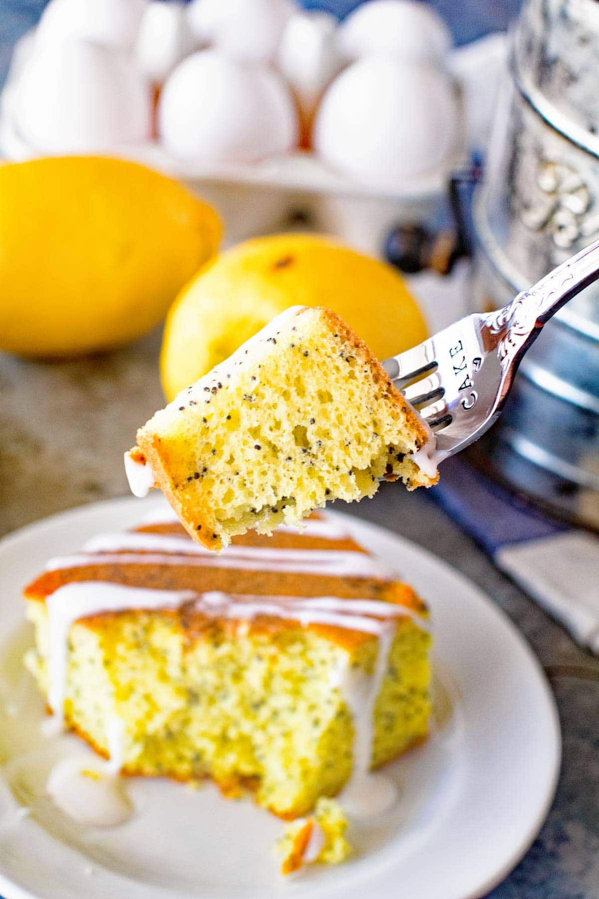 Bite of poppy seed cake