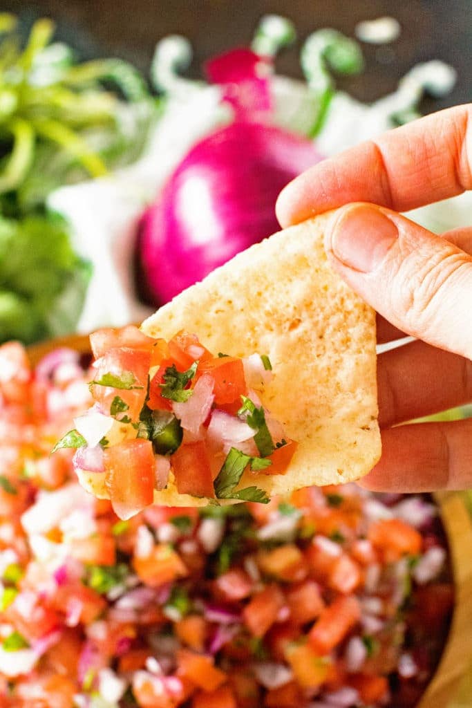 Hand holding tortilla chip with pico de gallo on it