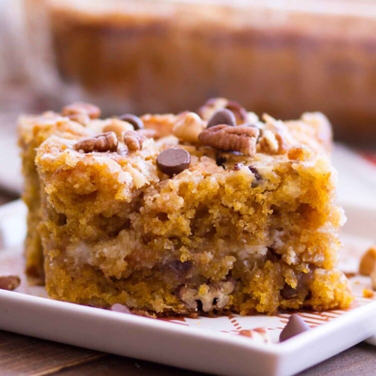 A piece of pumpkin cake with chocolate chips