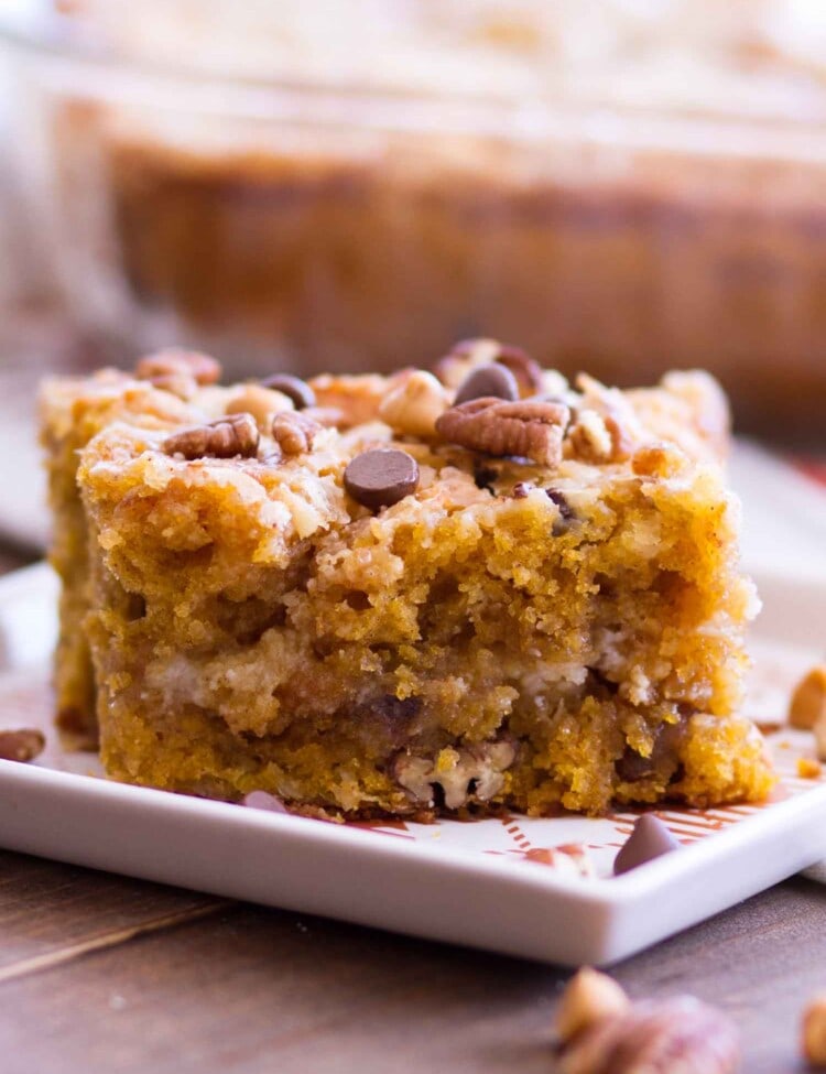 A piece of pumpkin cake with chocolate chips