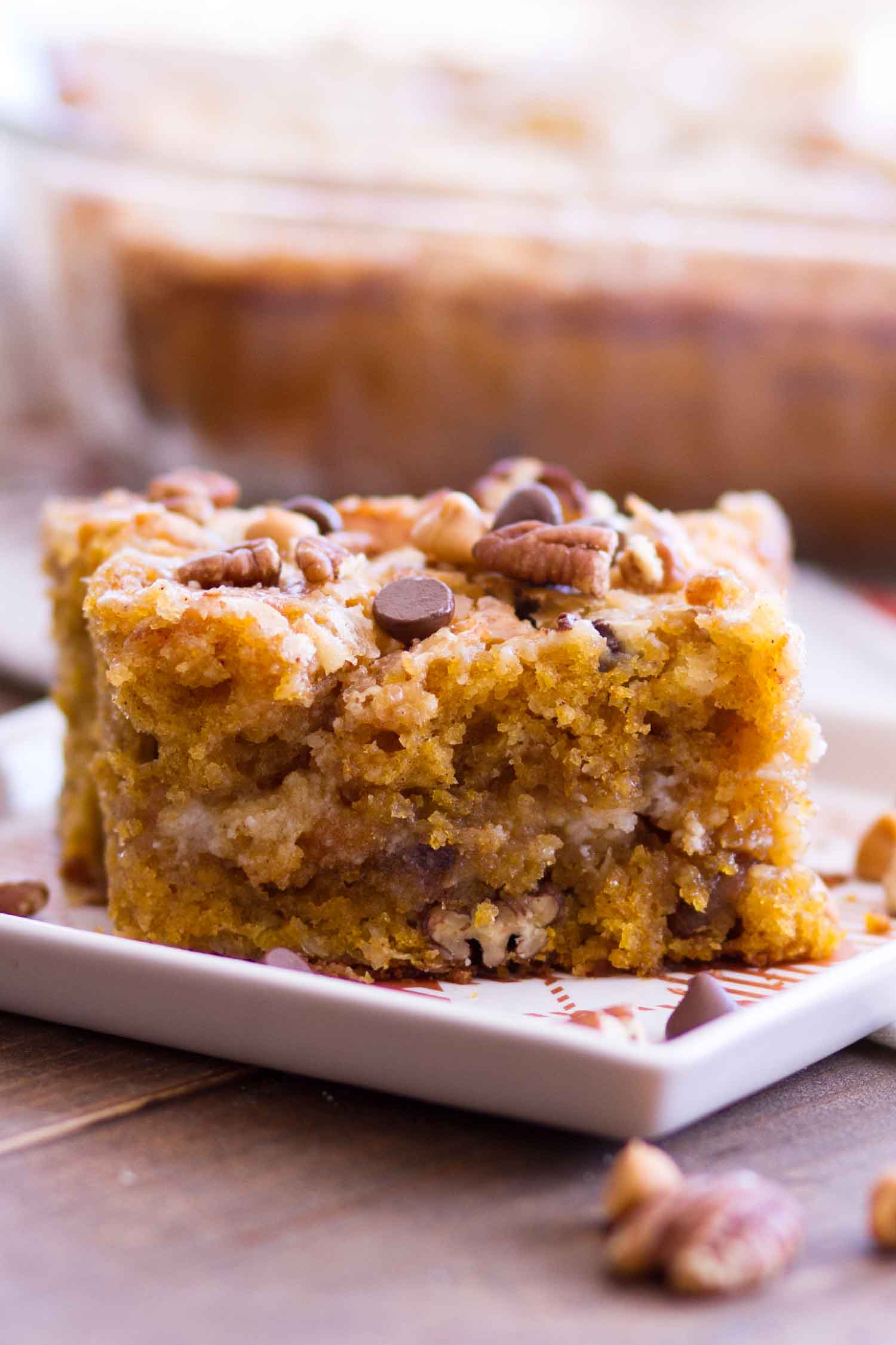 Pumpkin Cake Recipe topped with pecans, chocolate chips and butterscotch chips.