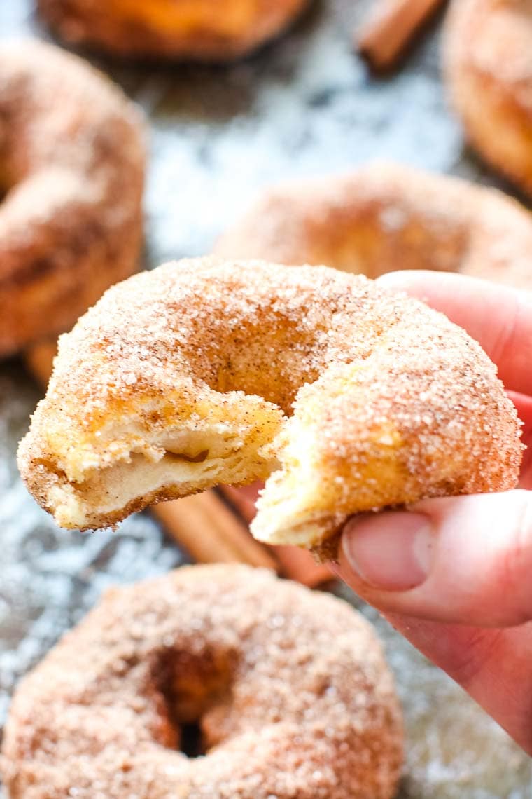 Hand holding an Air Fryer Donuts with cinnamon sugar
